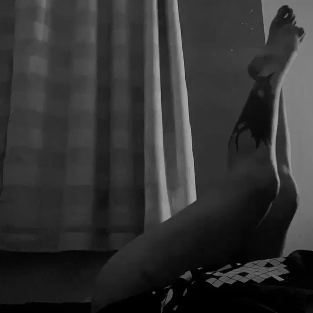 viviane luiza. profile banner