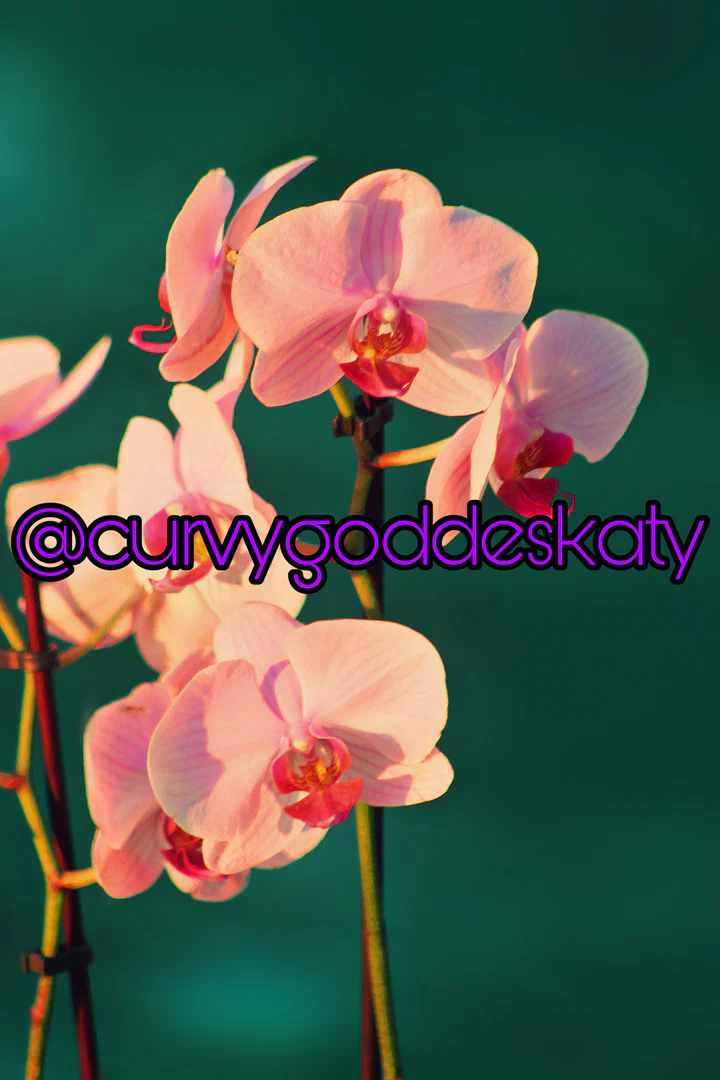 Katy profile banner