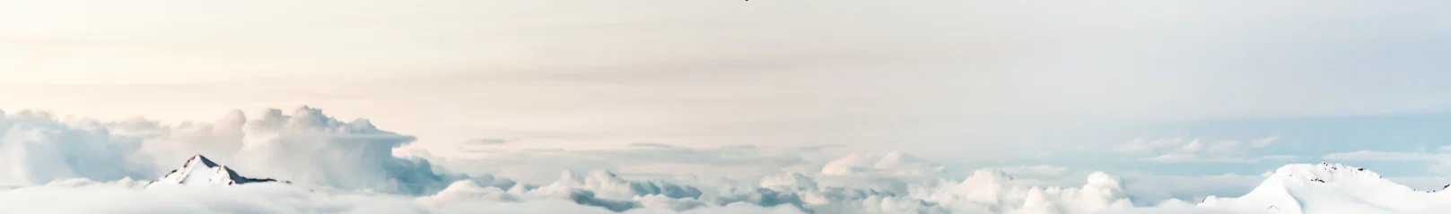 ANYTHING NEW profile banner