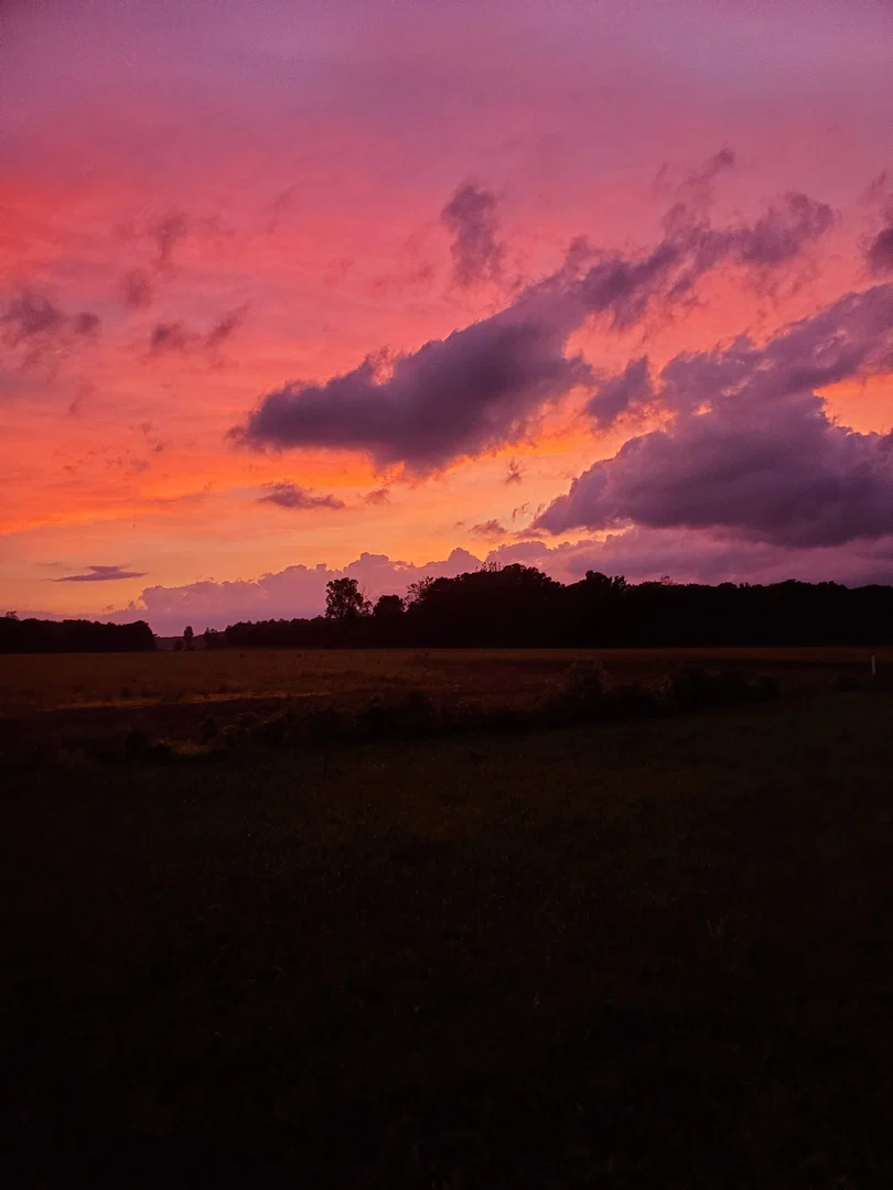HomesteadGuyzPPV profile banner