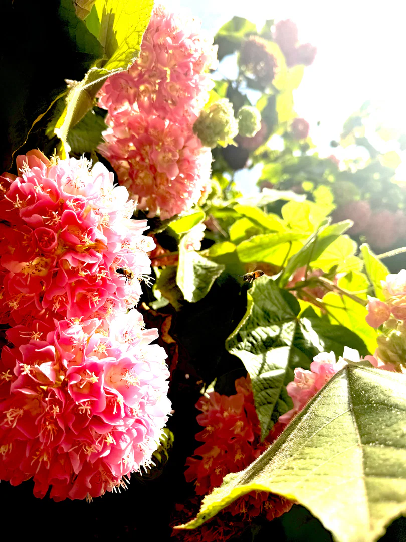 Nick Vallejo profile banner