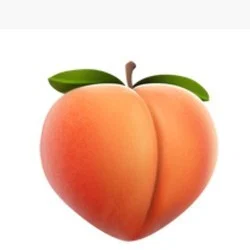 ShakeDatAhhh🍑's avatar