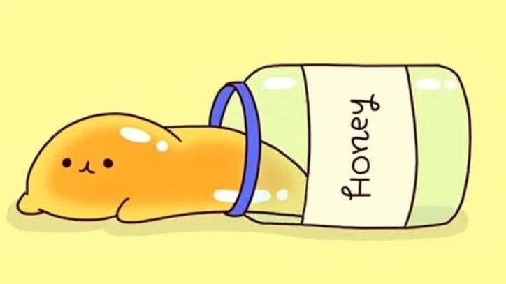 💕Saylor Honey 🍯 profile banner