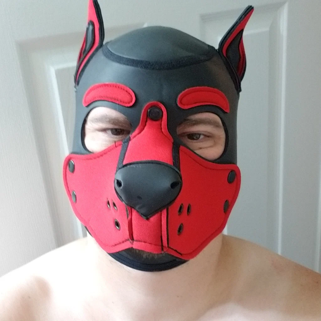 Gideon Geeky Pup's avatar
