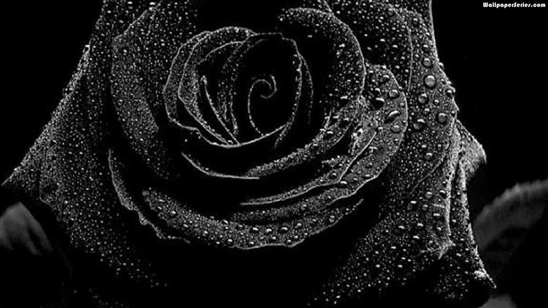 u167883575 profile banner