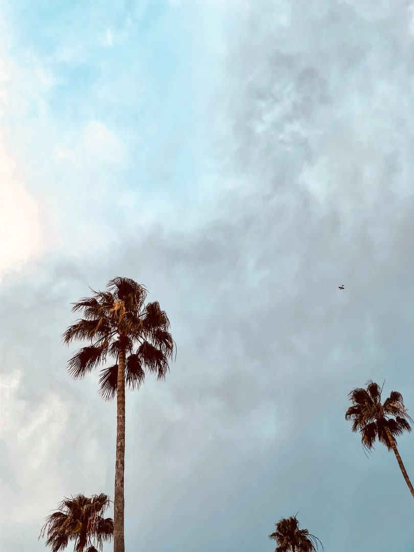 Payton profile banner