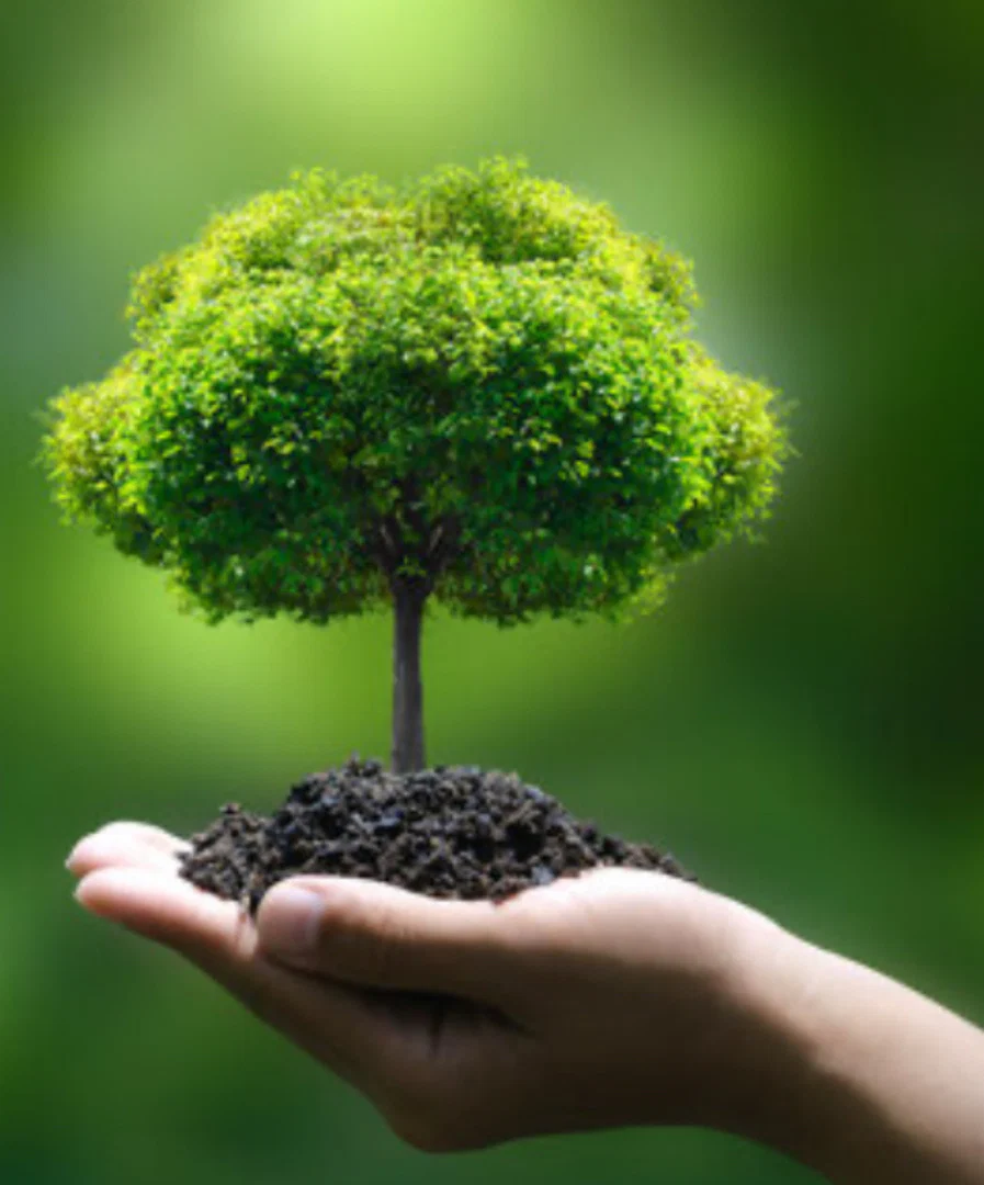 Eve Gardener profile banner
