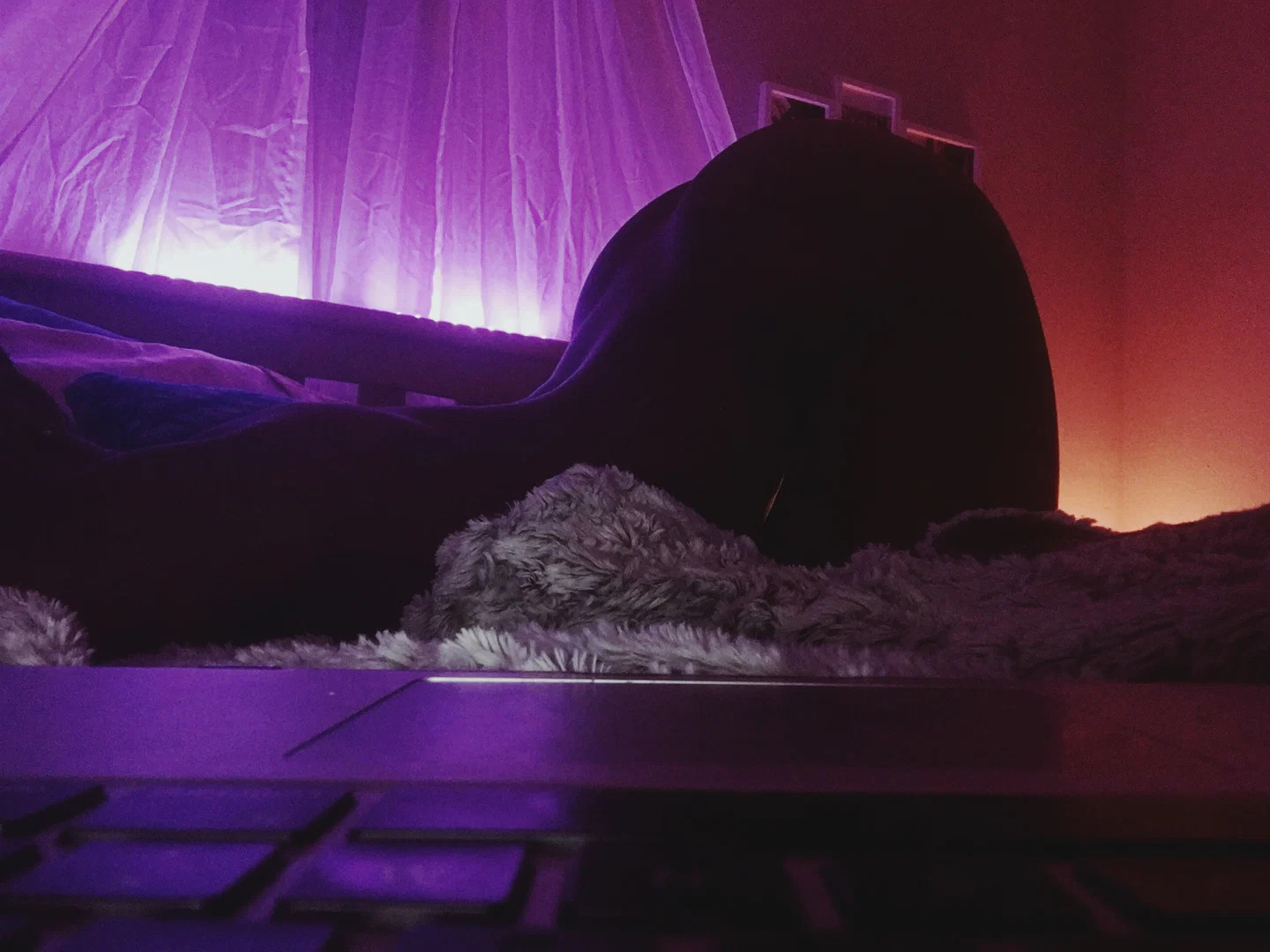 $HO! profile banner