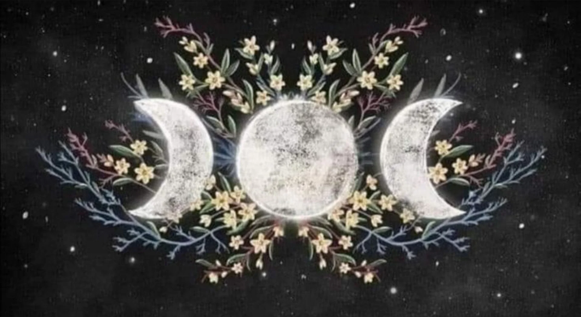 Mary Allinder profile banner