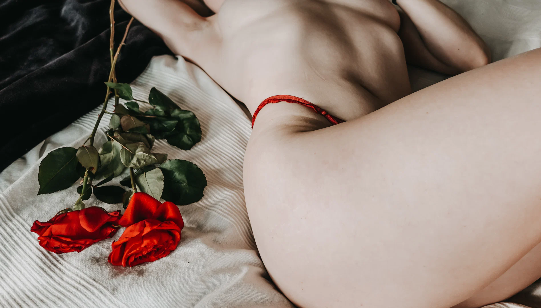 Lady in Red πΉ profile banner