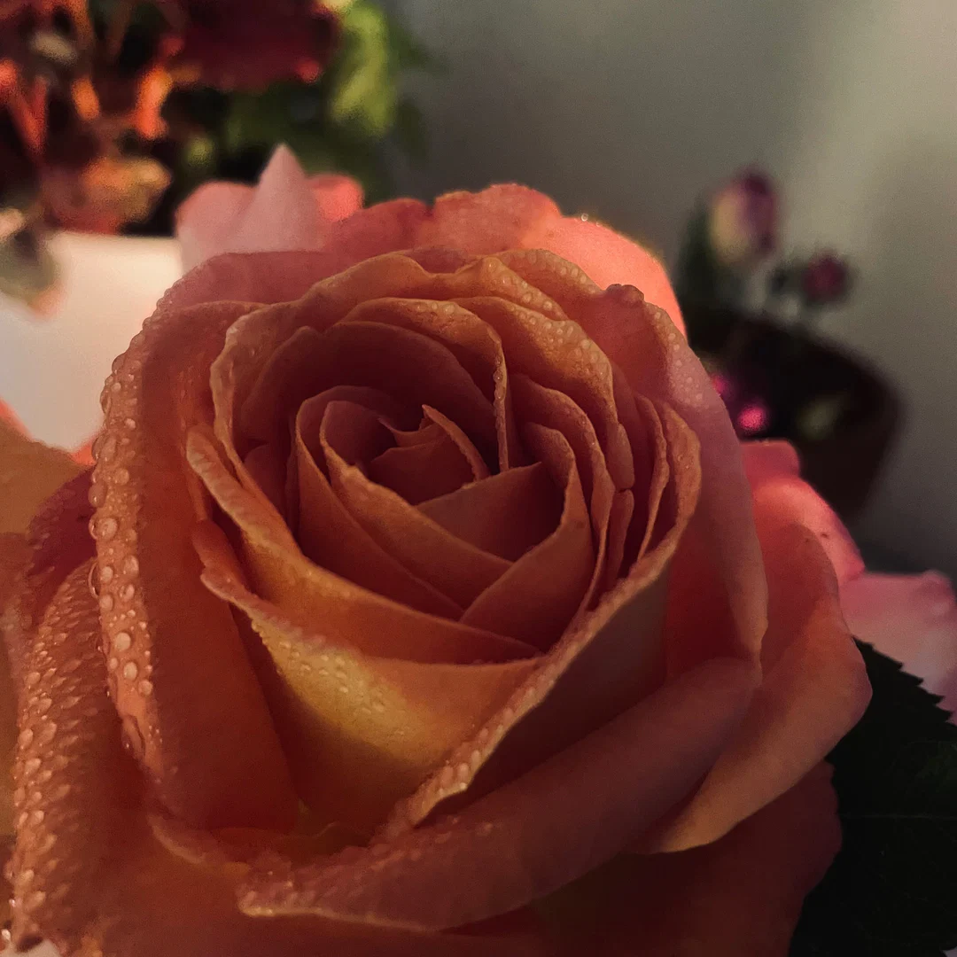 ~Your Forbidden Sweetheart~ profile banner