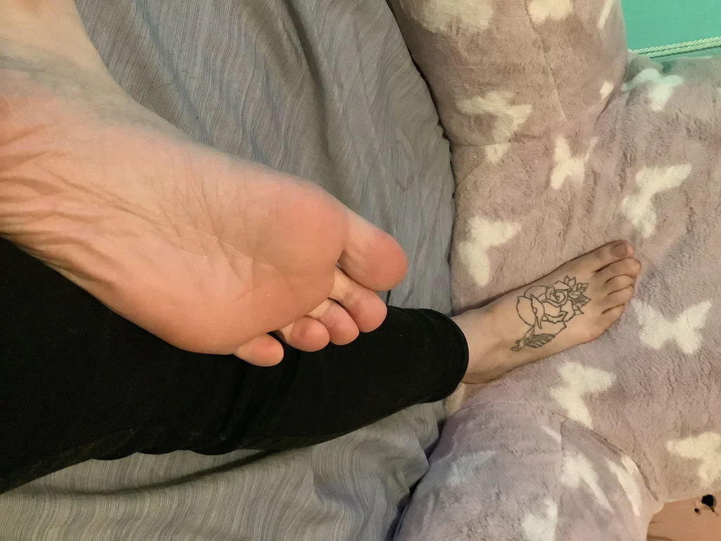 Dreamy kitten's avatar