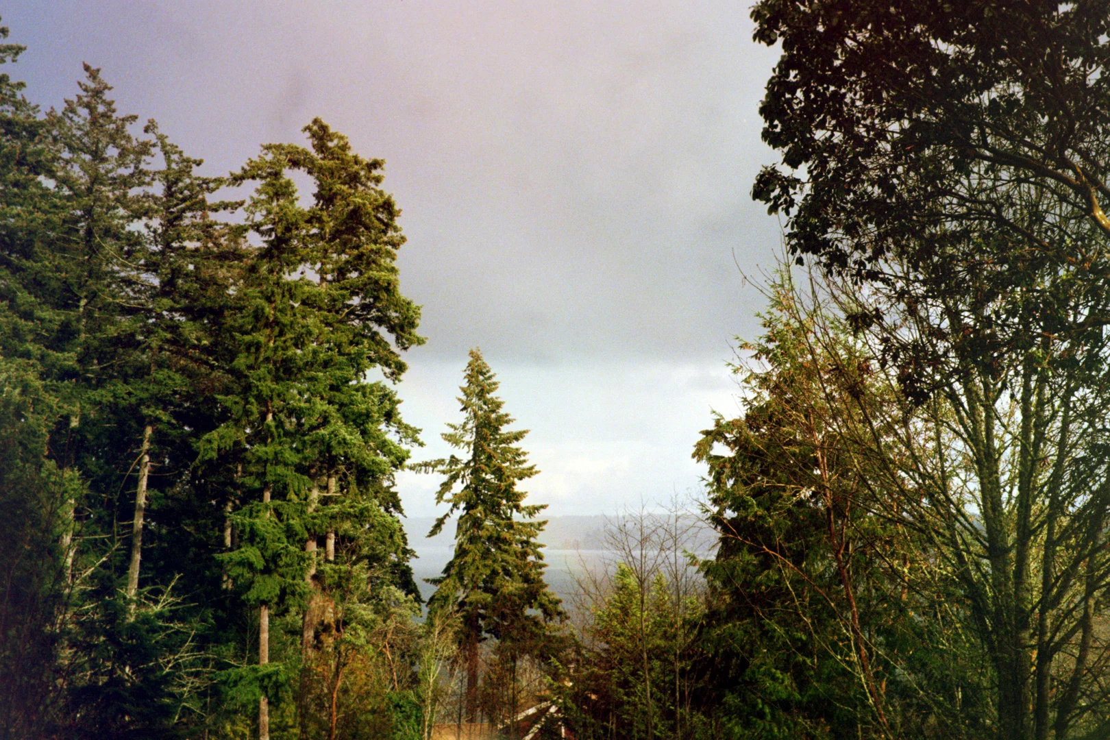 cooper profile banner