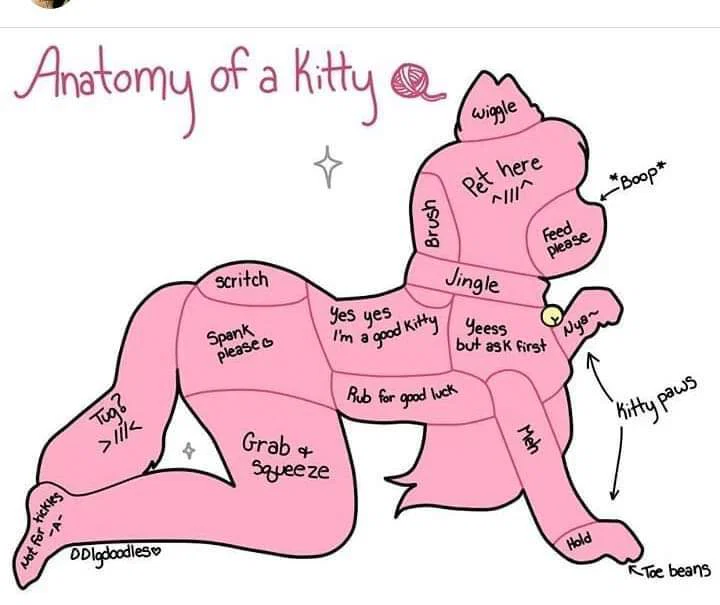MrsKitty_milf profile banner