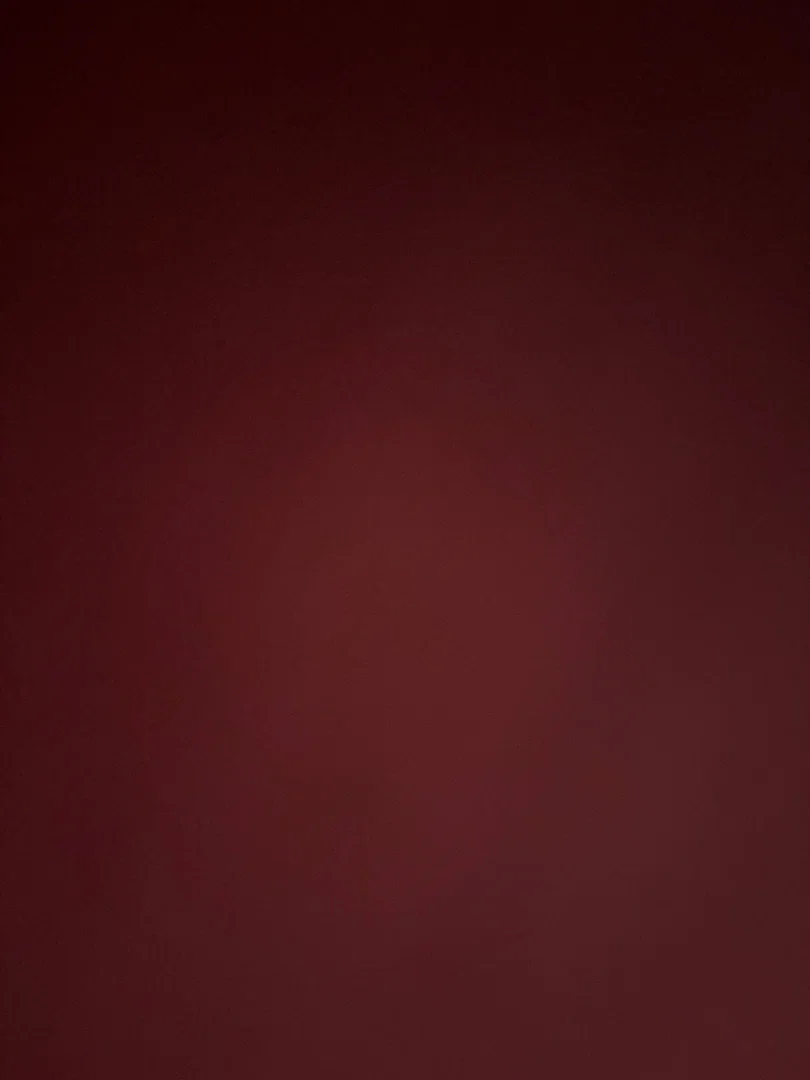 Melania Zara profile banner