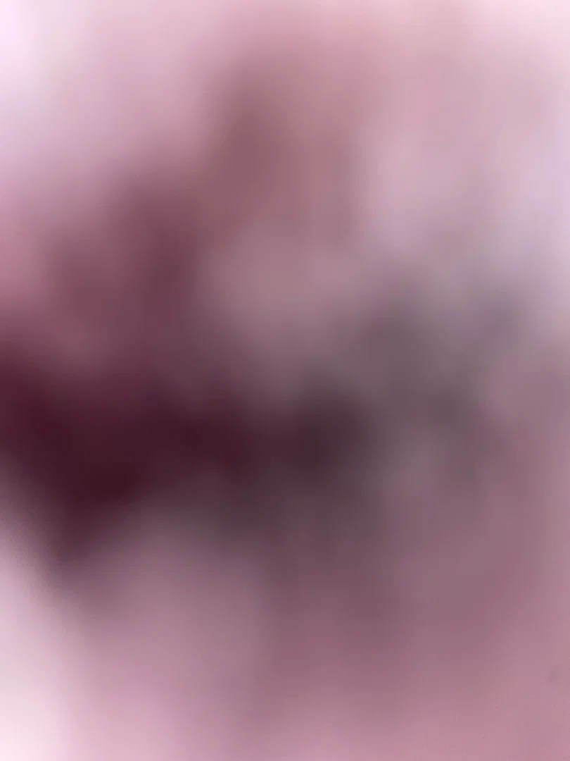 Cakes profile banner