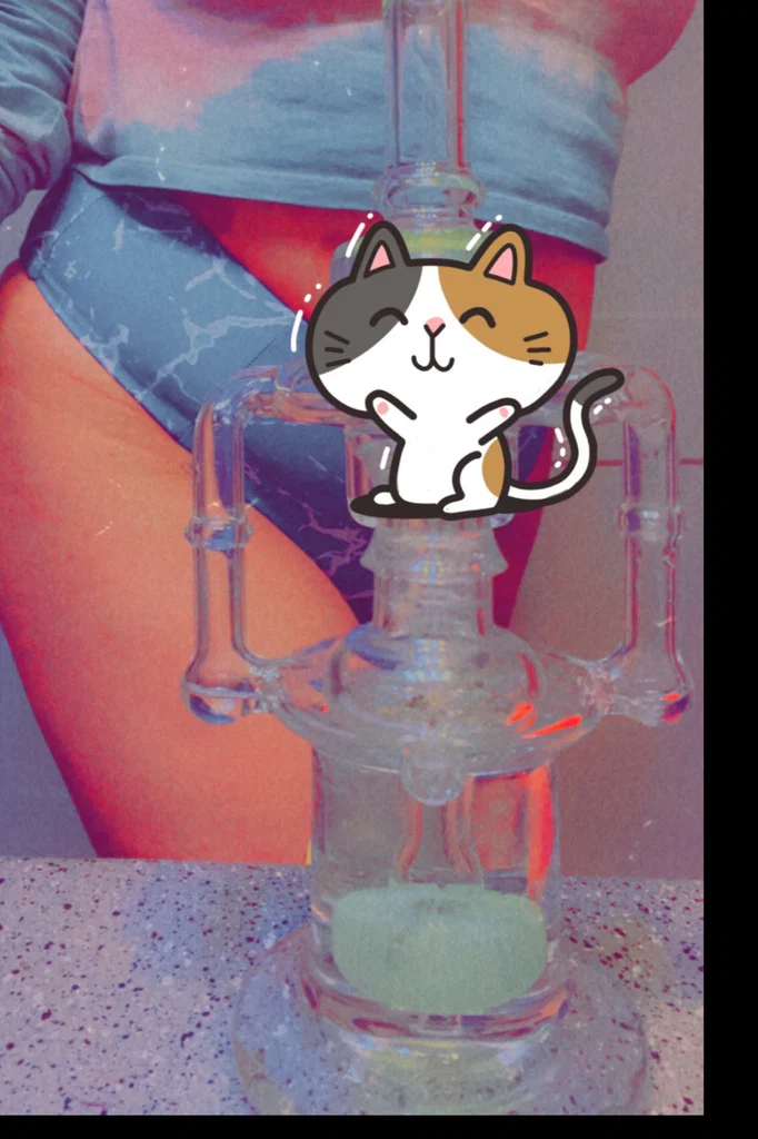 Kitty 👽