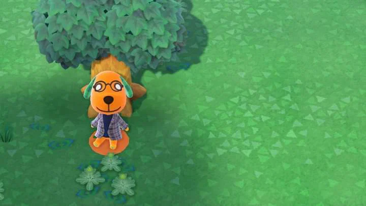 Teddy Bear profile banner