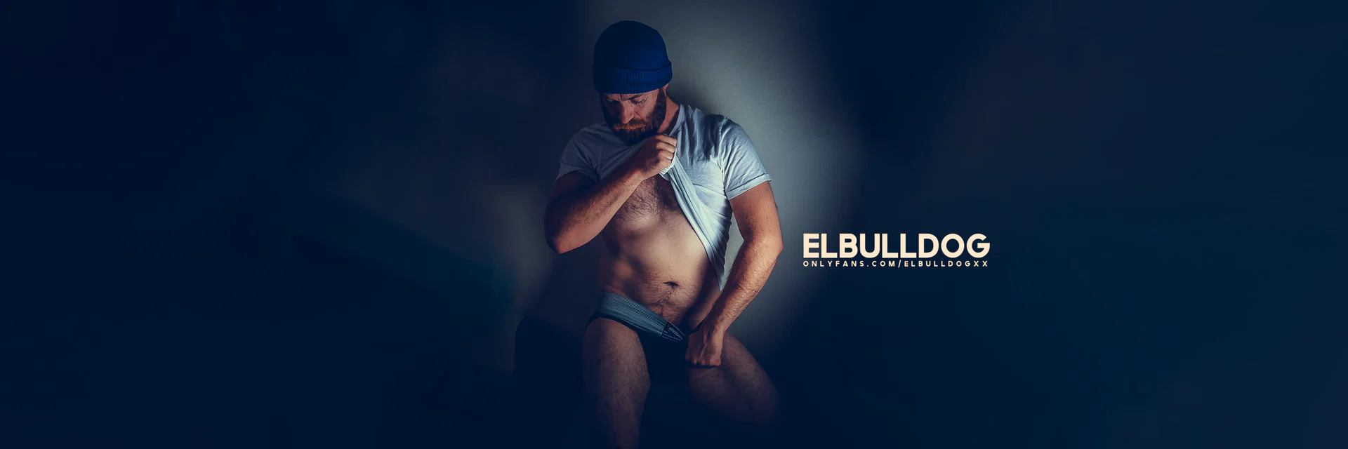 el_bulldog_ingles profile banner
