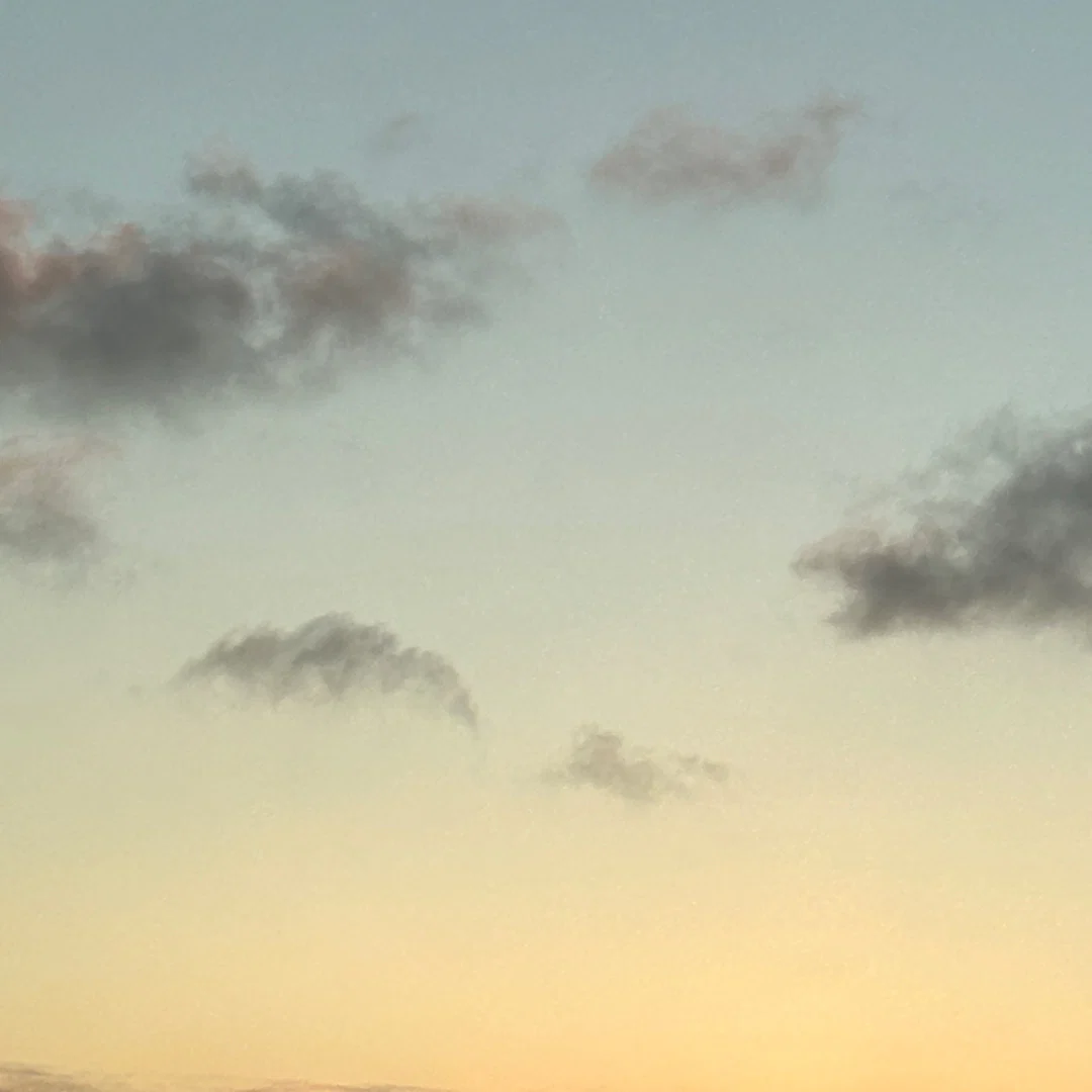 Pup Ryan profile banner