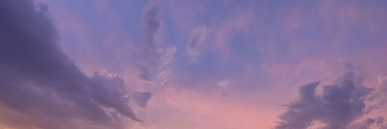 Topher Phoenix profile banner
