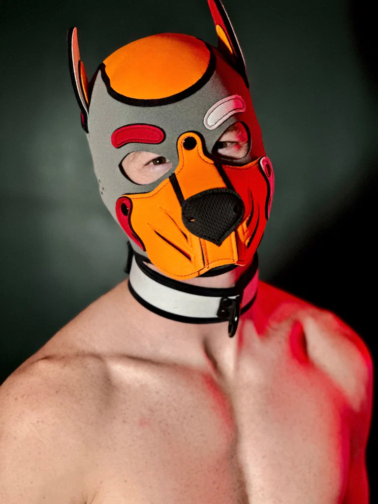 Sub Pup Kylo's avatar