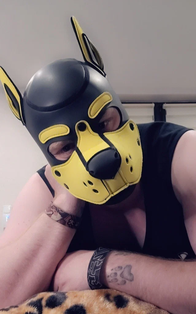 RoxThePup's avatar