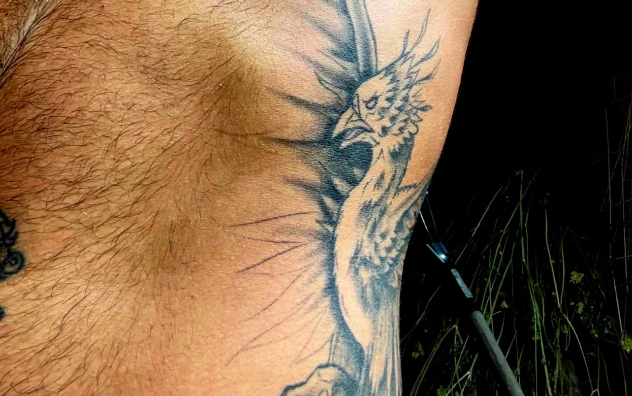 TurningPhoenix profile banner