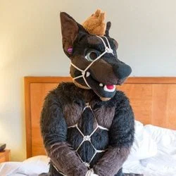 Daddy Dober ฅ^•ﻌ•^ฅ's avatar