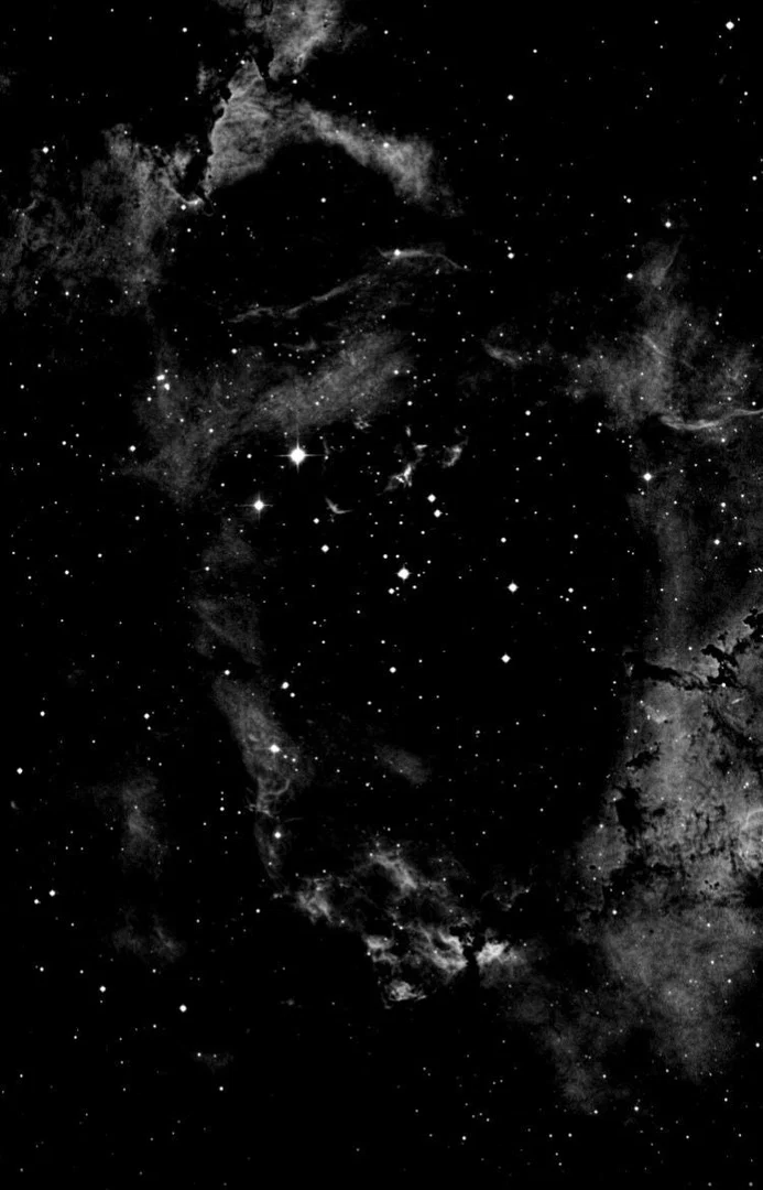 Scarlett profile banner