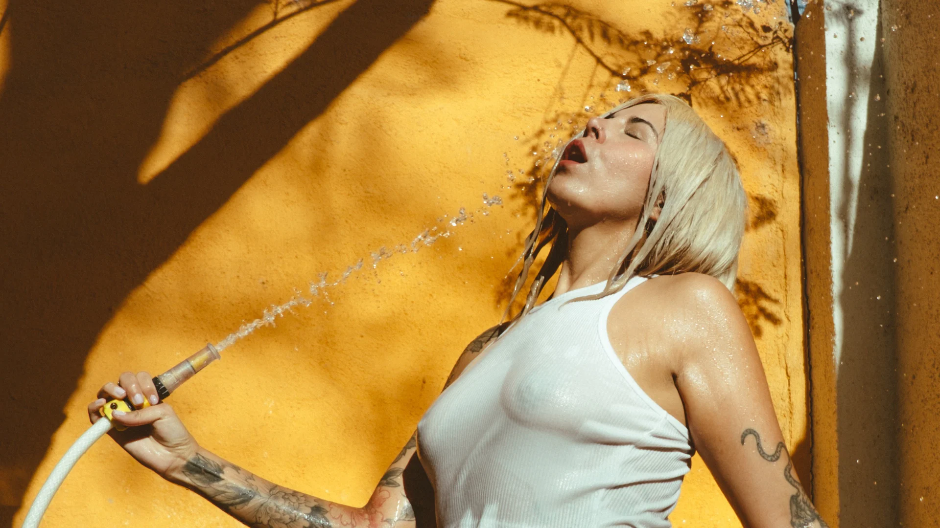 Millie Draco profile banner