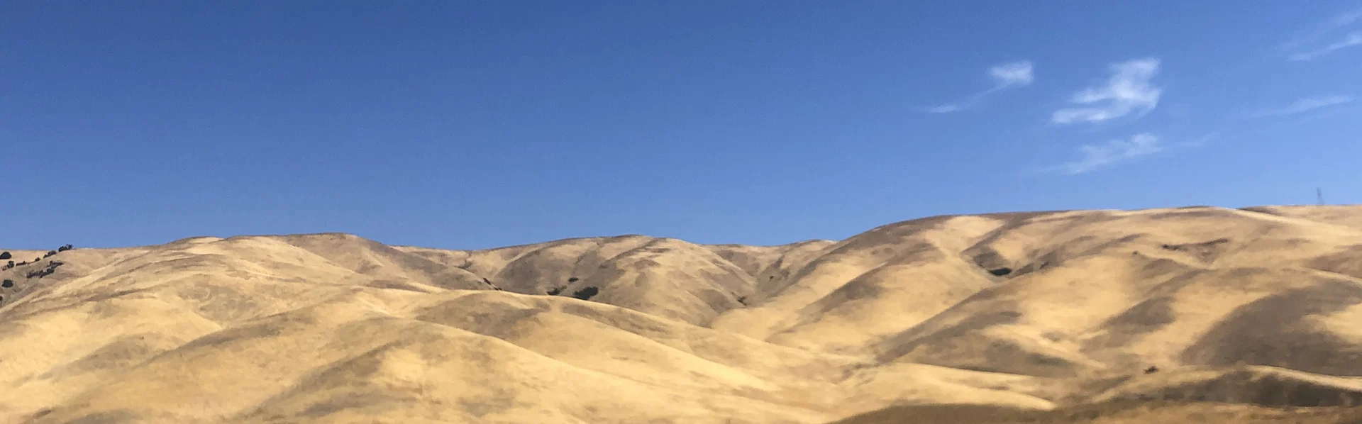 EM profile banner