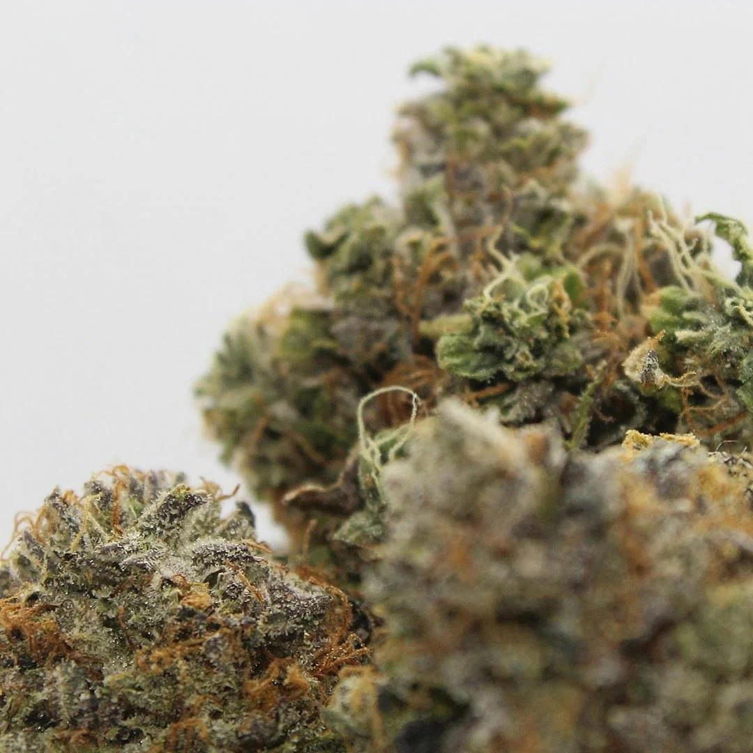 Boobs.n.Blunts profile banner