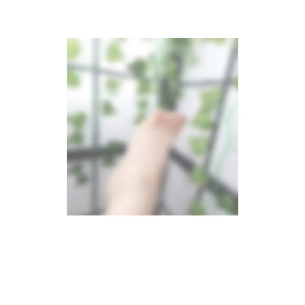 FeetMeToIt