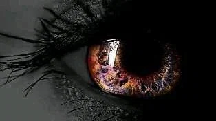Exotic's avatar