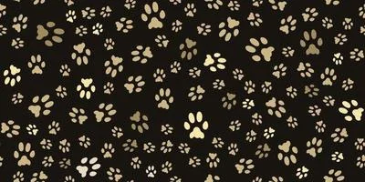 π Kayyy π profile banner