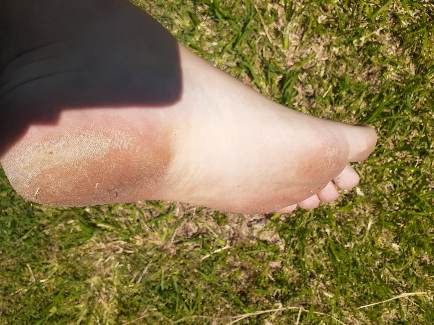 ManBears Feet profile banner