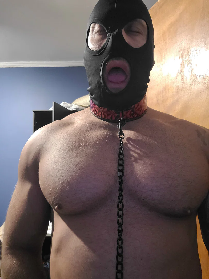 Muscle Mouth Training profile banner