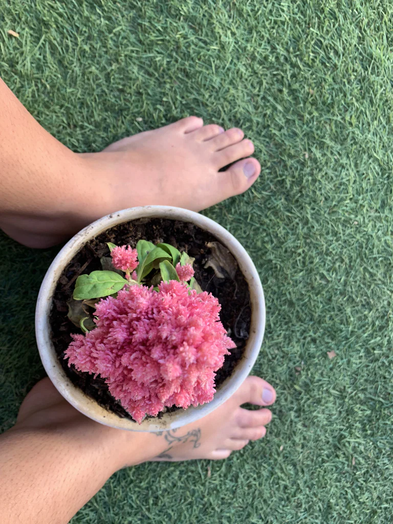Lady Feet