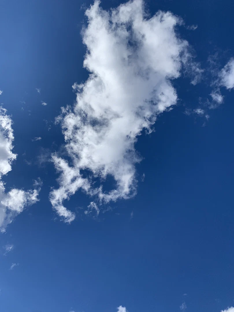 Lady Feet profile banner