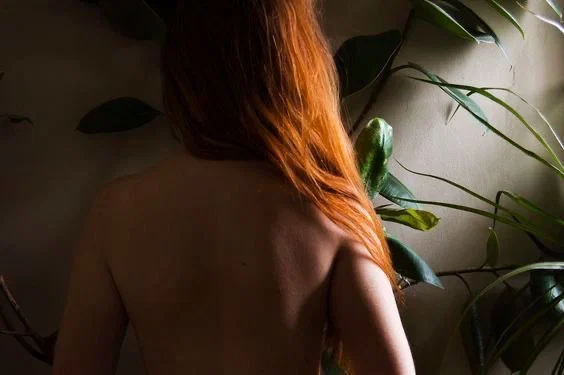 Charlotee profile banner