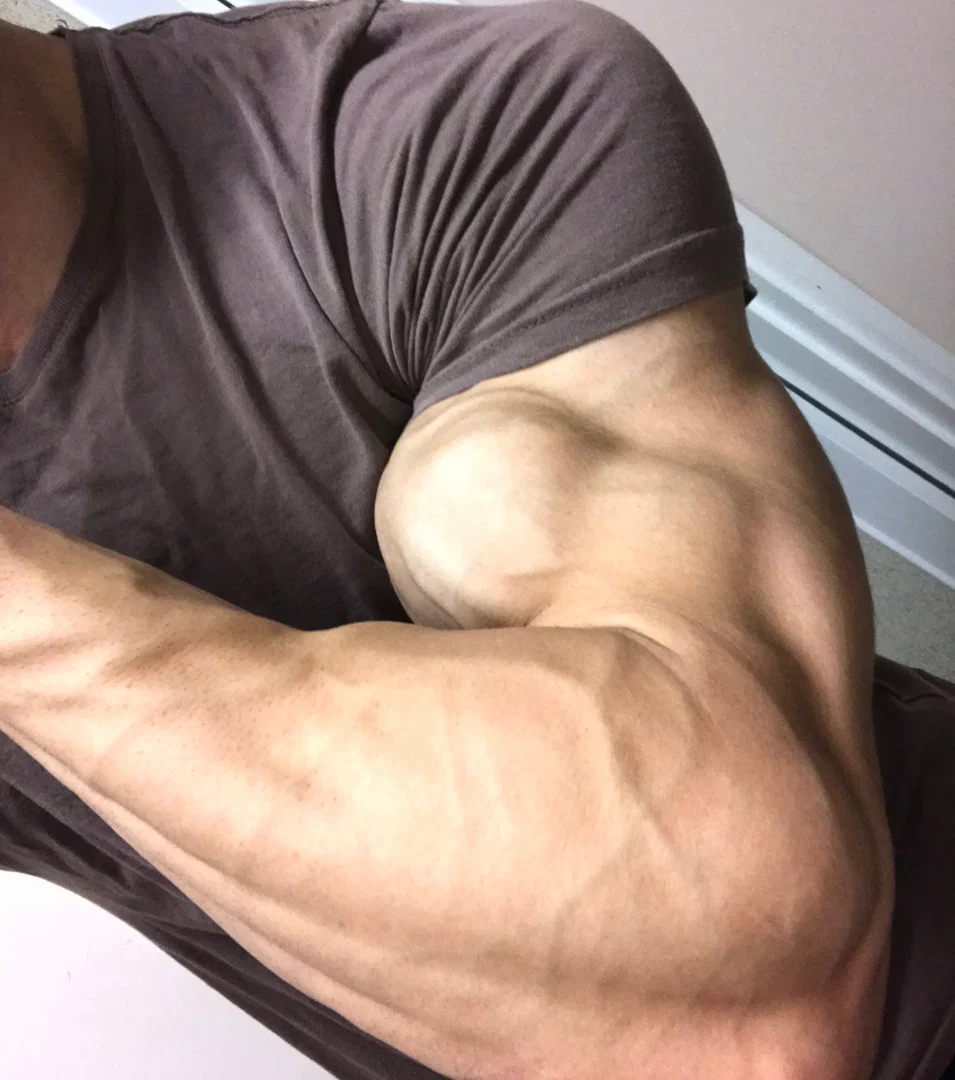 Shredded and Vascular 24/7 profile banner