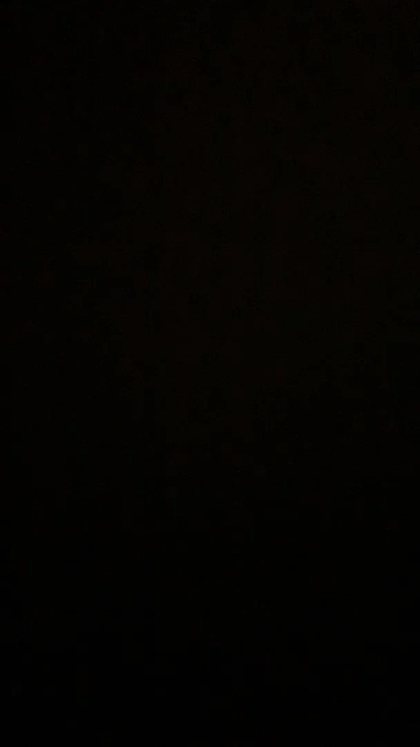 Bunni Toez π π£ profile banner