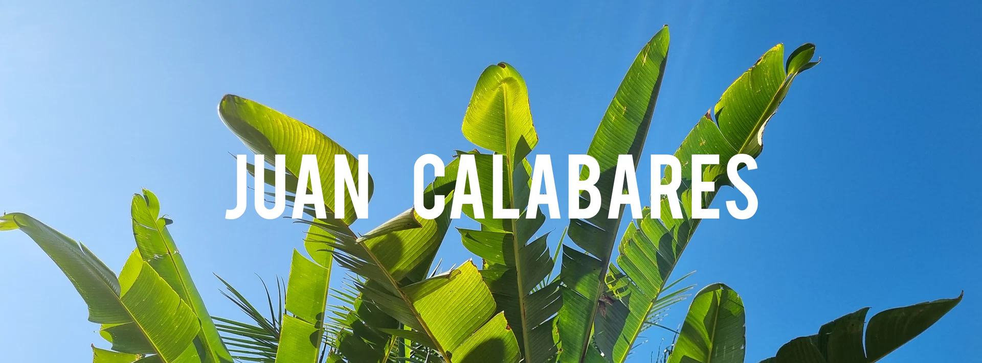 Juan Calabares profile banner