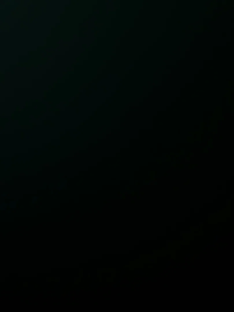 Kitten πΎ profile banner