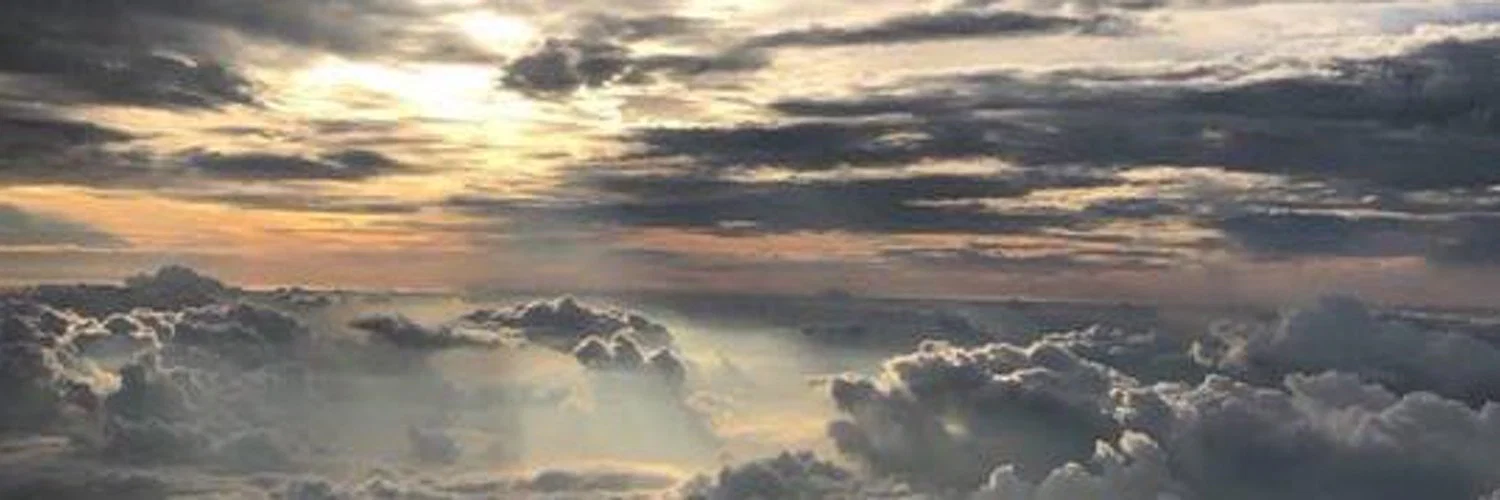 π» T π» profile banner
