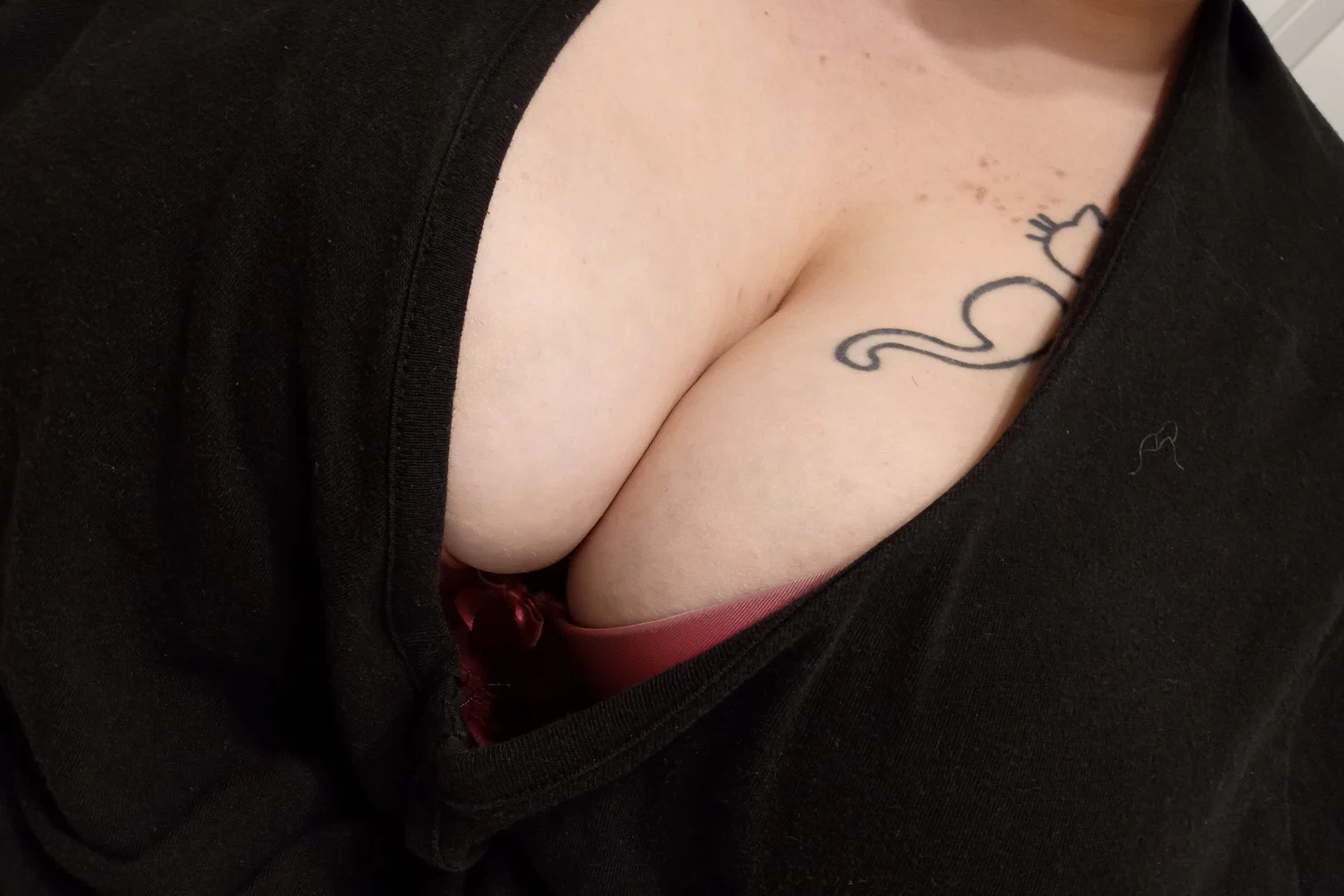 Ryleerosexxx profile banner