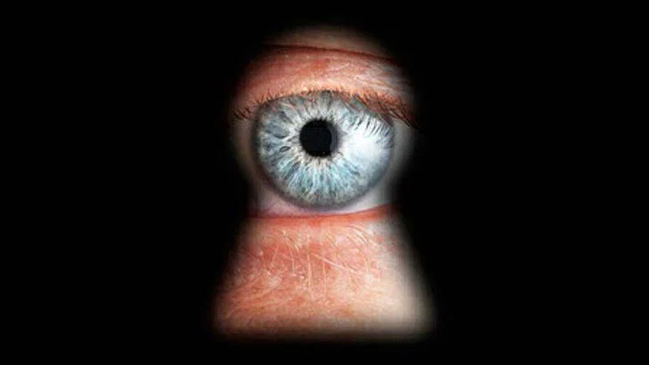 Spying Perv
