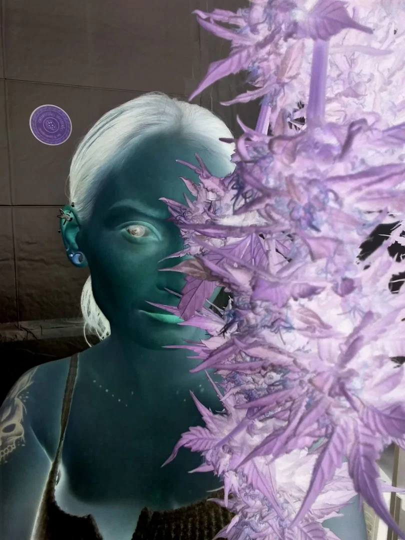 Violet Storm profile banner