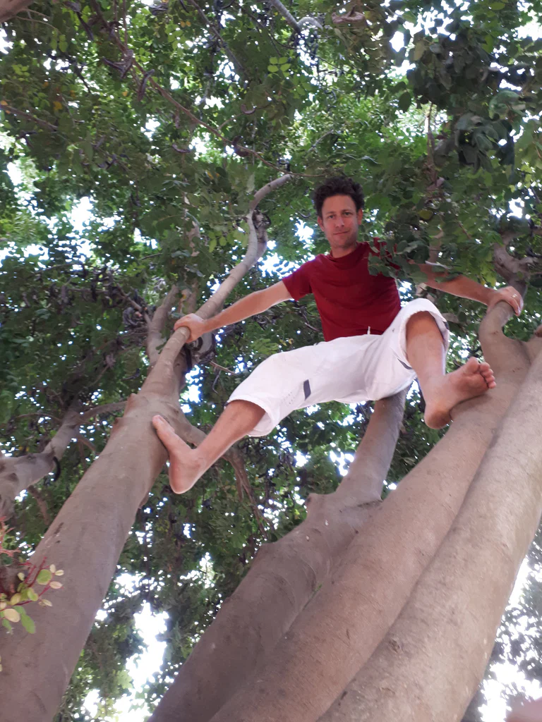 matan's avatar